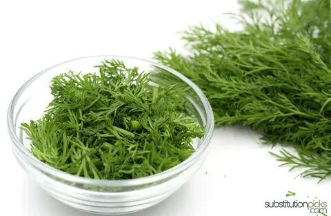 خرید اقتصادی سبزی شوید خشک اعلا + فروش تضمینی